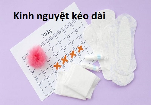 Kinh nguyệt kéo dài cảnh báo bệnh lý phụ khoa và cách xử lý hiệu quả