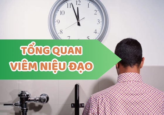 Thông tin tổng quan về bệnh viêm niệu đạo ở nam giới